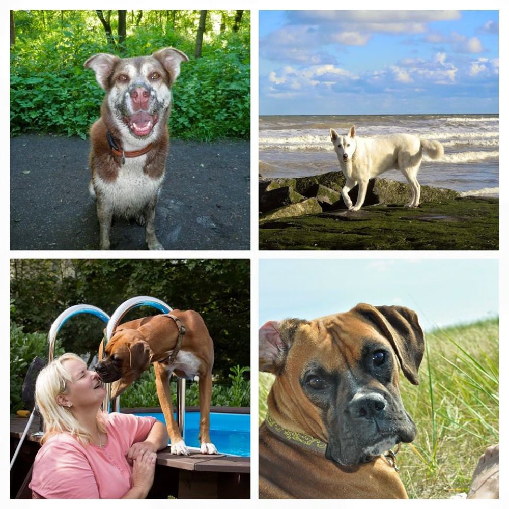 LnR: TESSA, BEAU, TINA, STELLA LnR: TESSA, BEAU, TINA, STELLA