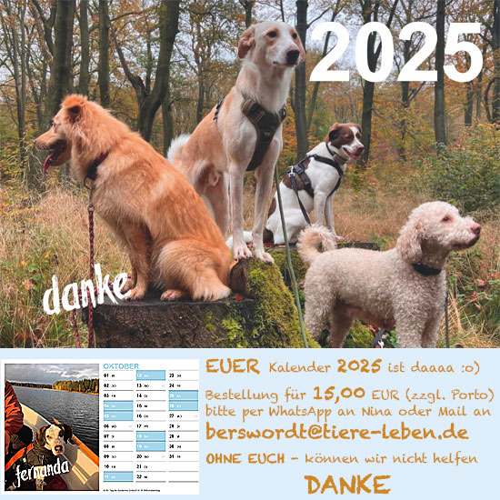 Hunde Kalender 2025